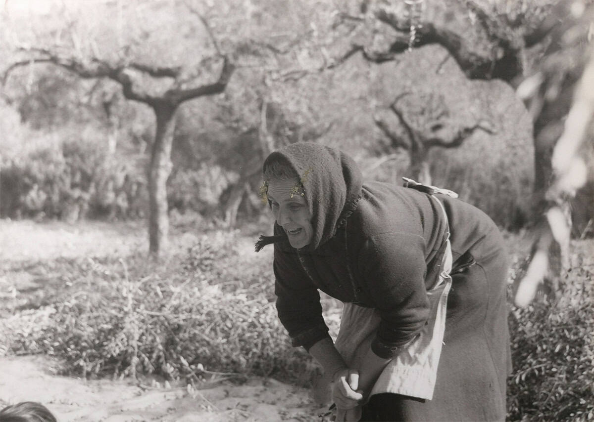 Grand maman Kanellias